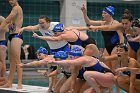 Swim vs Bentley  Wheaton College Swimming & Diving vs Bentley University. - Photo by Keith Nordstrom : Wheaton, Swimming & Diving